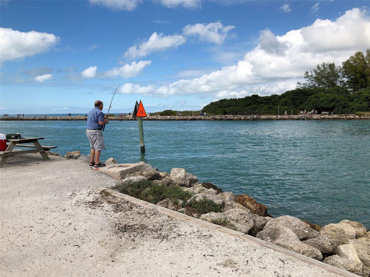 11993 Tempest Harbor Loop, Venice, FL 34292 Photo