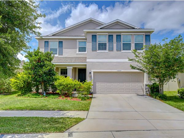 16607 GOOSE RIBBON PLACE , WIMAUMA, FL 33598