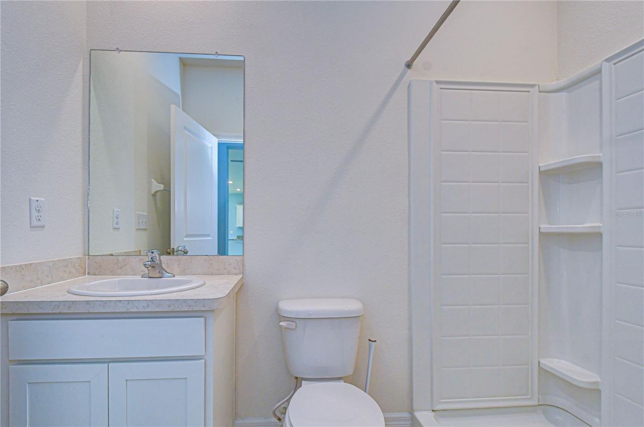 16607 Goose Ribbon Place, Wimauma, FL 33598 Photo