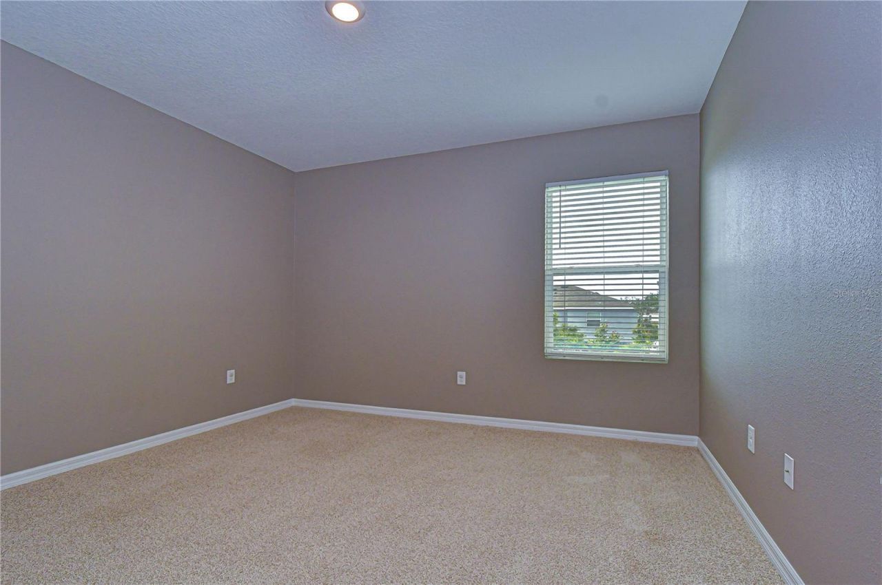 16607 Goose Ribbon Place, Wimauma, FL 33598 Photo