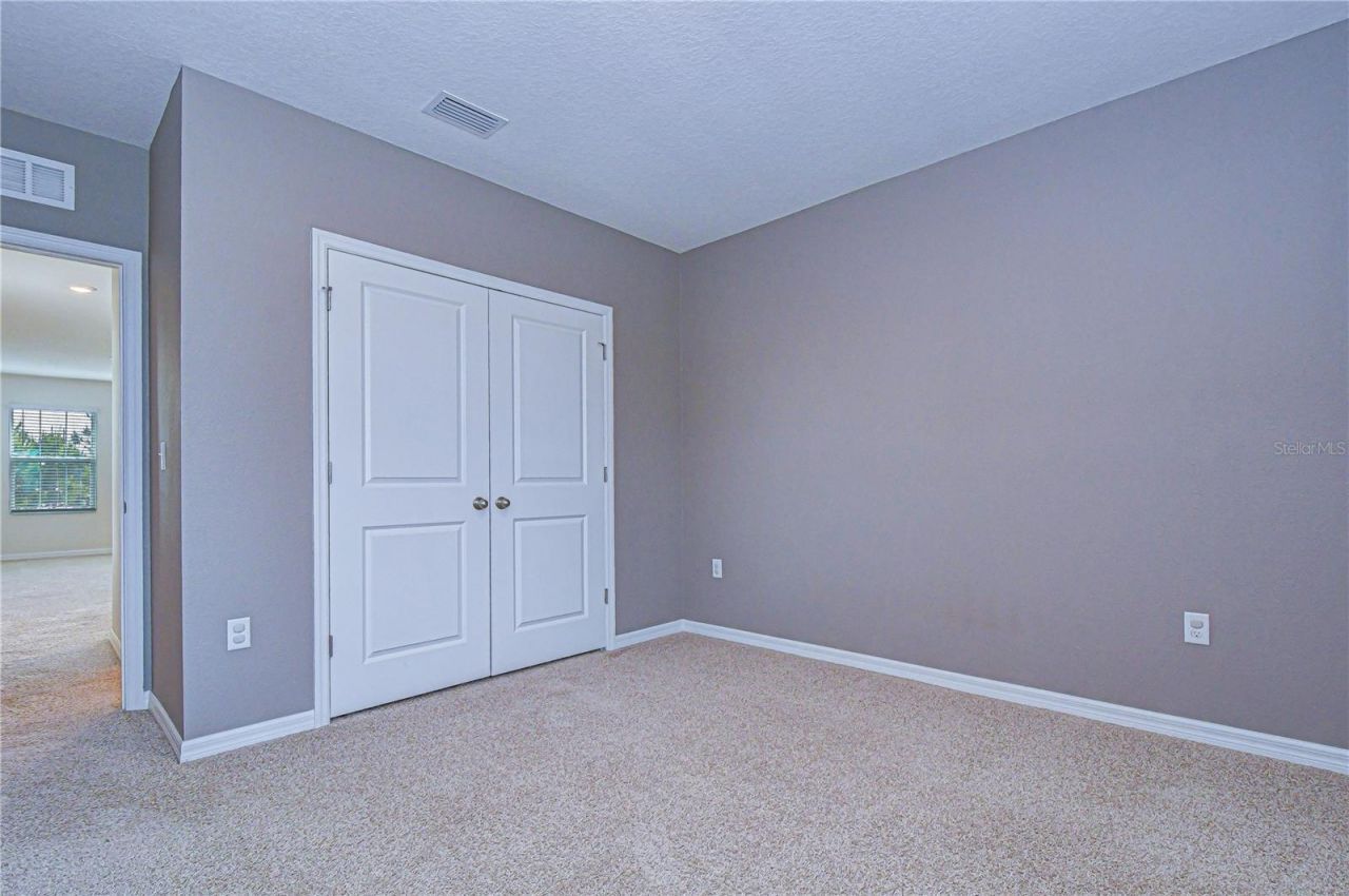 16607 Goose Ribbon Place, Wimauma, FL 33598 Photo