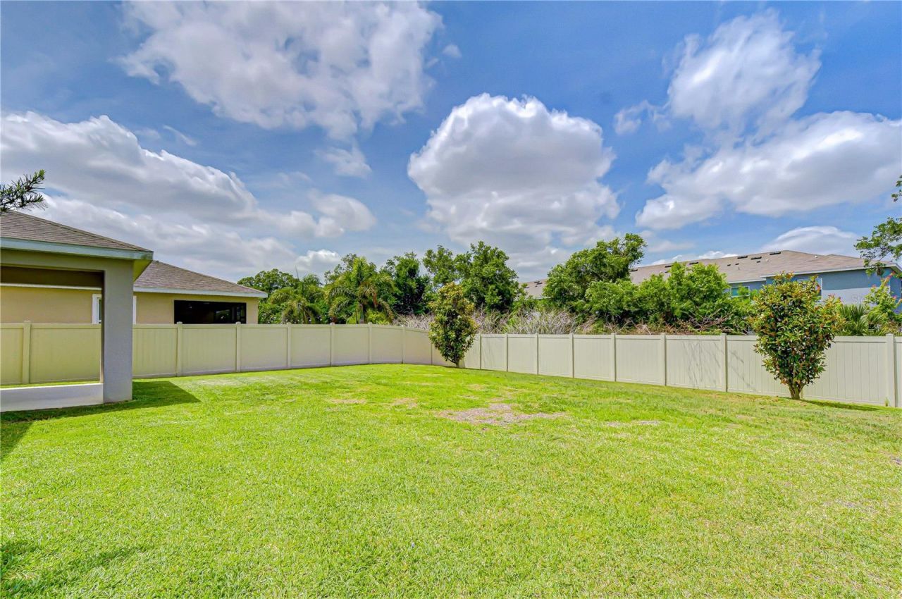 16607 Goose Ribbon Place, Wimauma, FL 33598 Photo