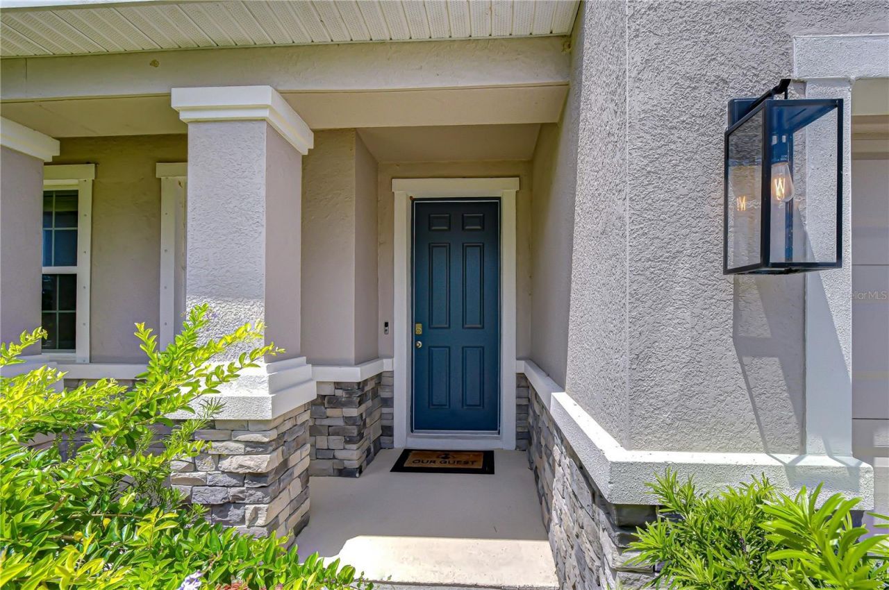 16607 Goose Ribbon Place, Wimauma, FL 33598 Photo