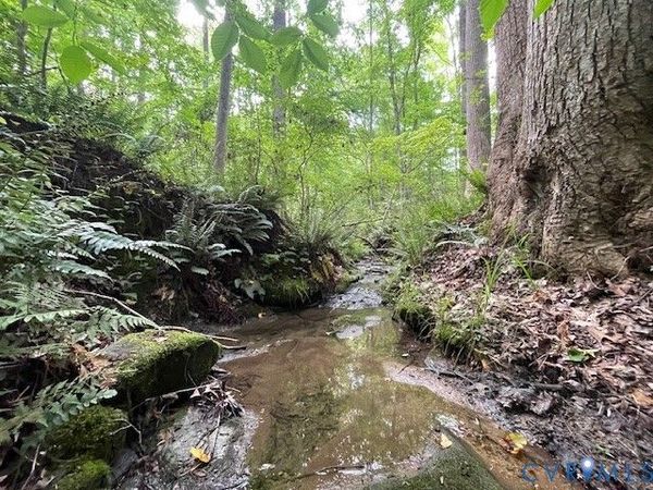 0 Sims Road , Cumberland, VA 23040