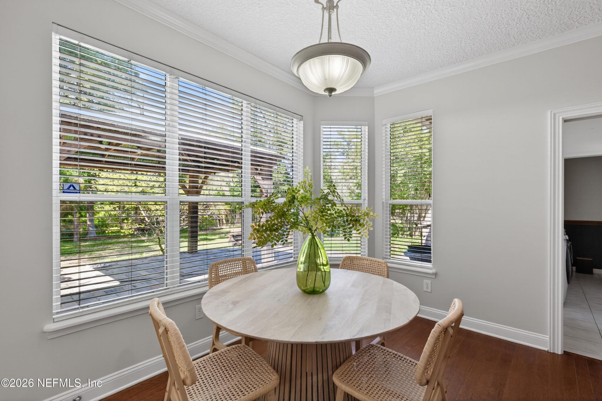 413 River Birch Lane, Fleming Island, FL 32003 Photo