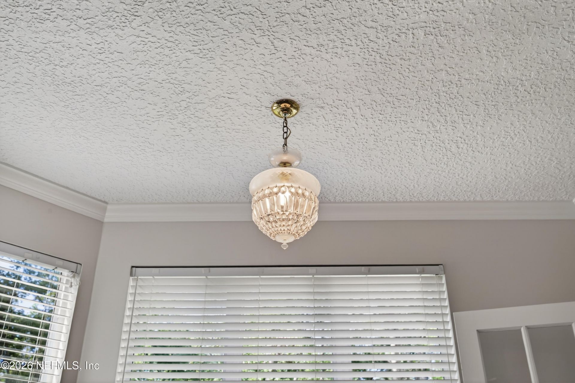 413 River Birch Lane, Fleming Island, FL 32003 Photo