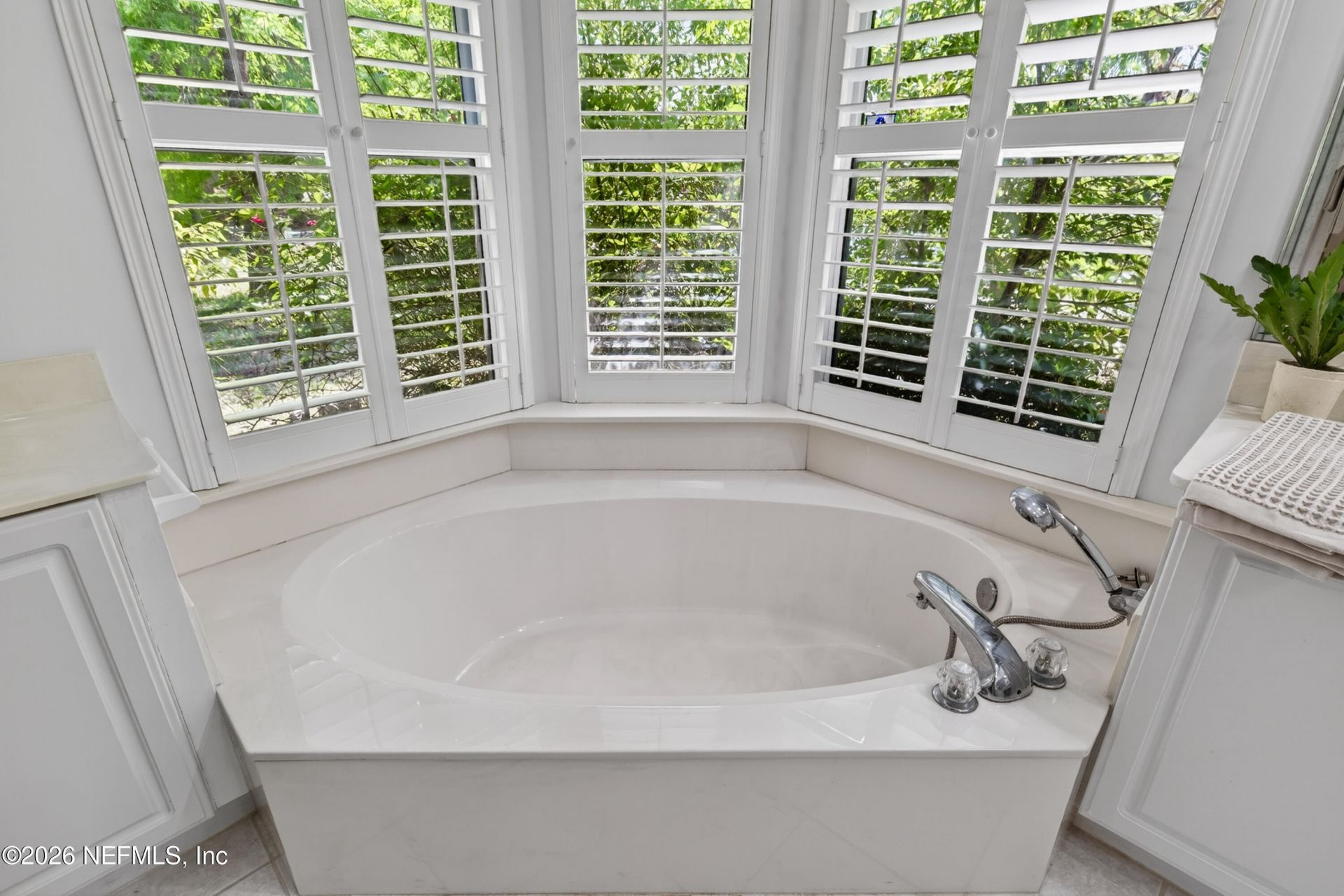 413 River Birch Lane, Fleming Island, FL 32003 Photo