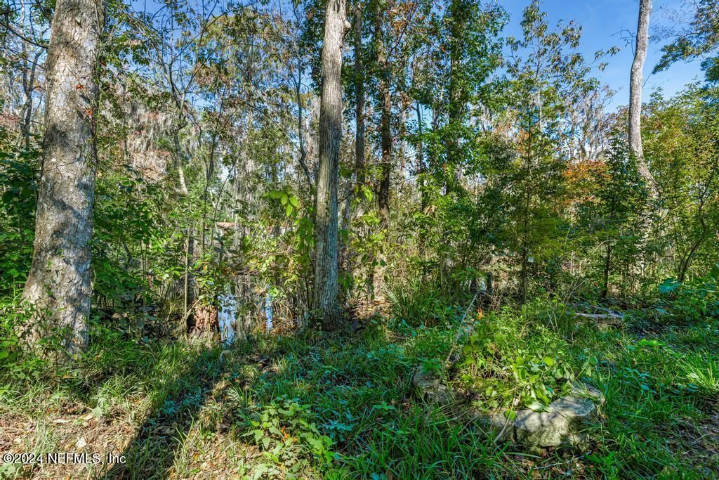 413 River Birch Lane, Fleming Island, FL 32003 Photo