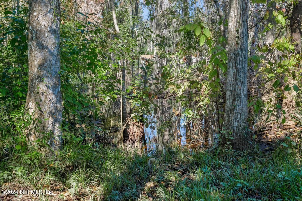 413 River Birch Lane, Fleming Island, FL 32003 Photo