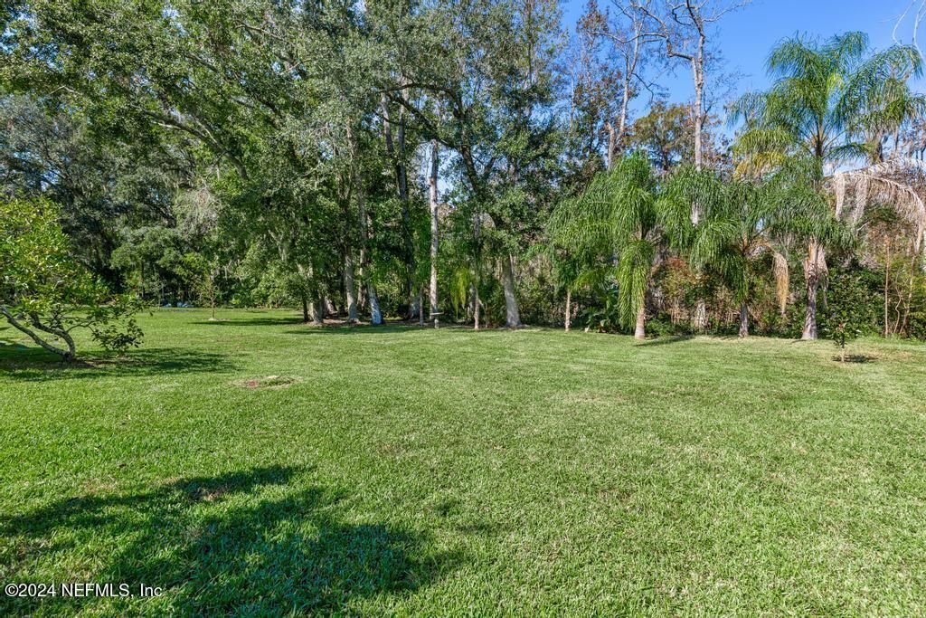 413 River Birch Lane, Fleming Island, FL 32003 Photo