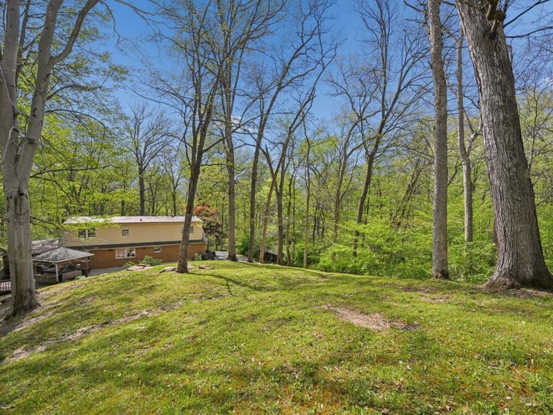 5500 Koester Knoll, Stonelick Twp, OH 45103 Photo 41