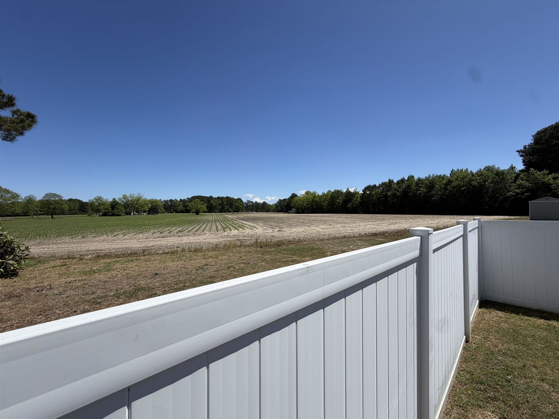 137 Adelphia Rd. Photo 25