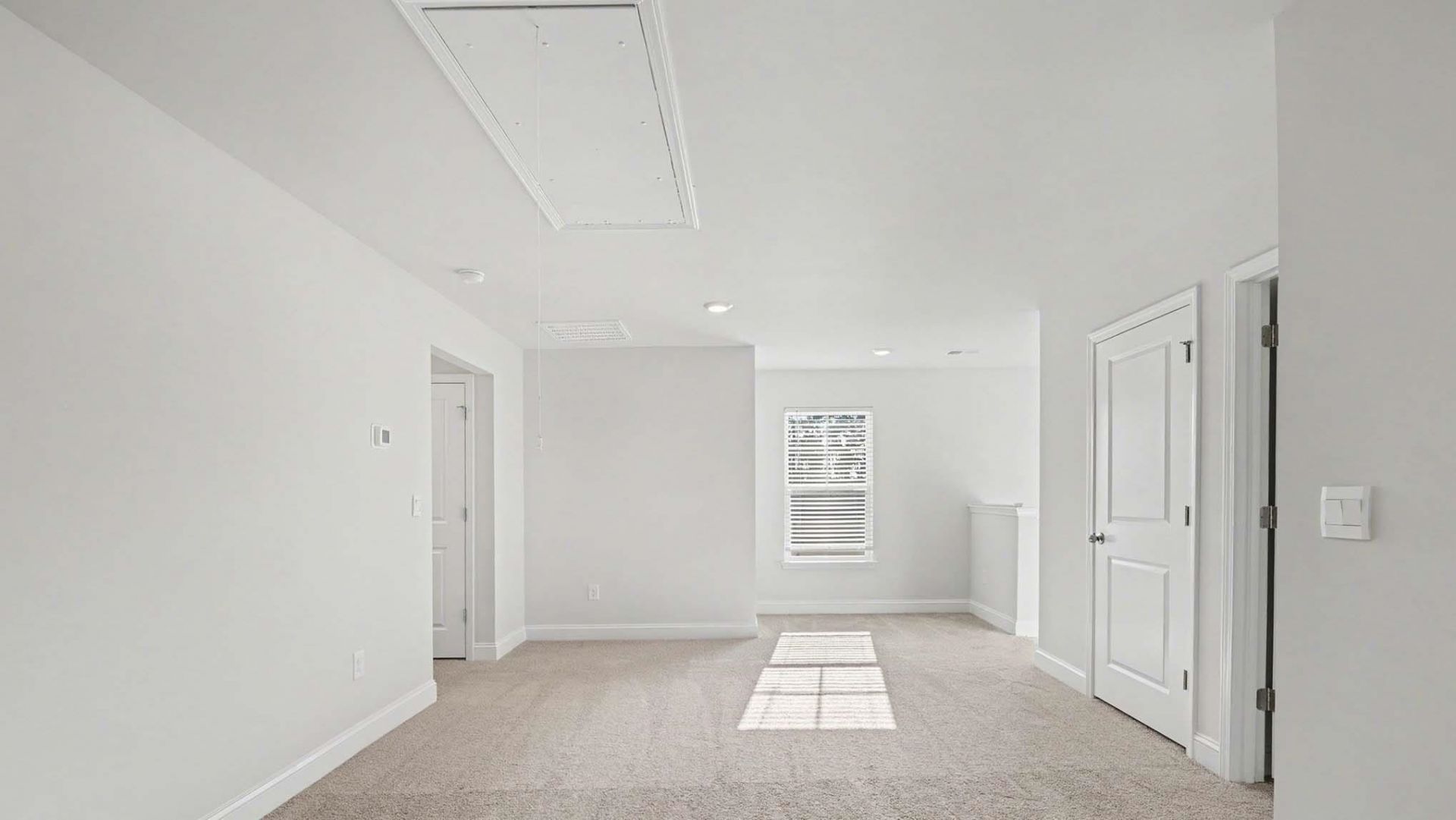 217 Blueberry Fields Ct.  Photo 17