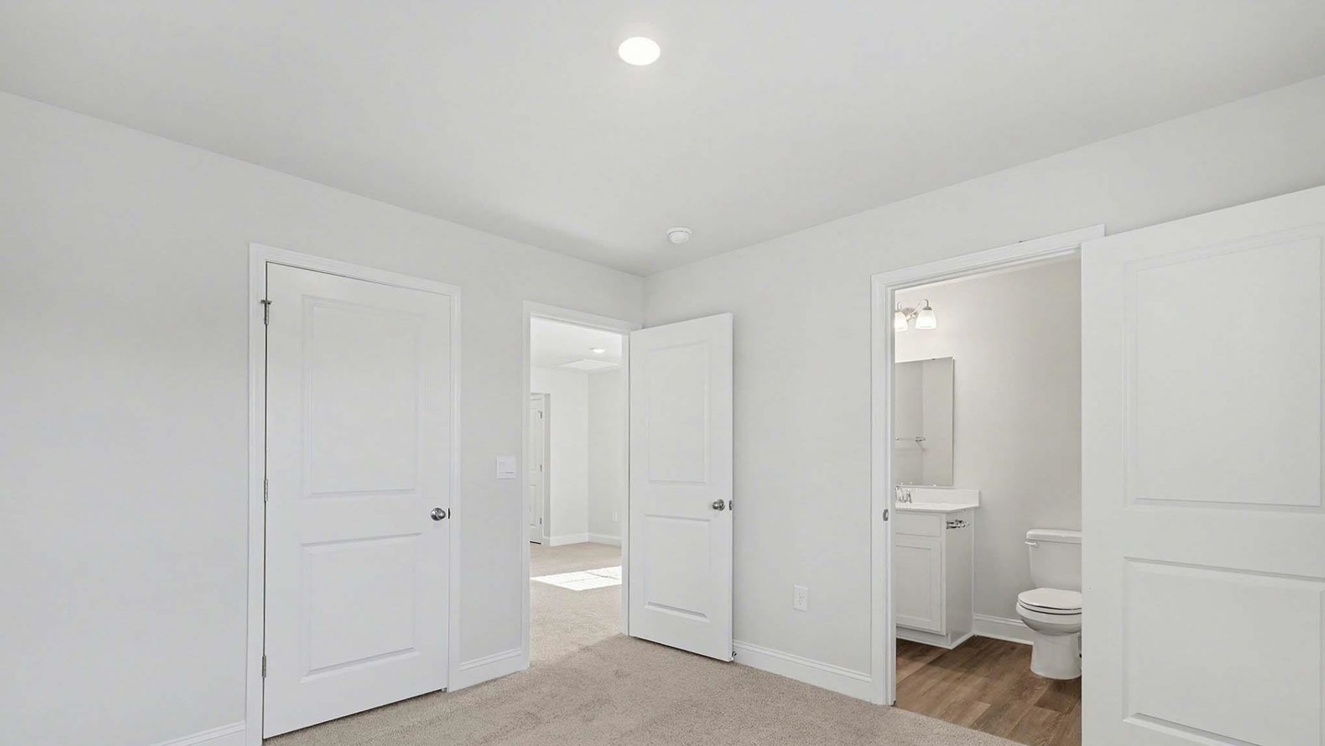 217 Blueberry Fields Ct.  Photo 22