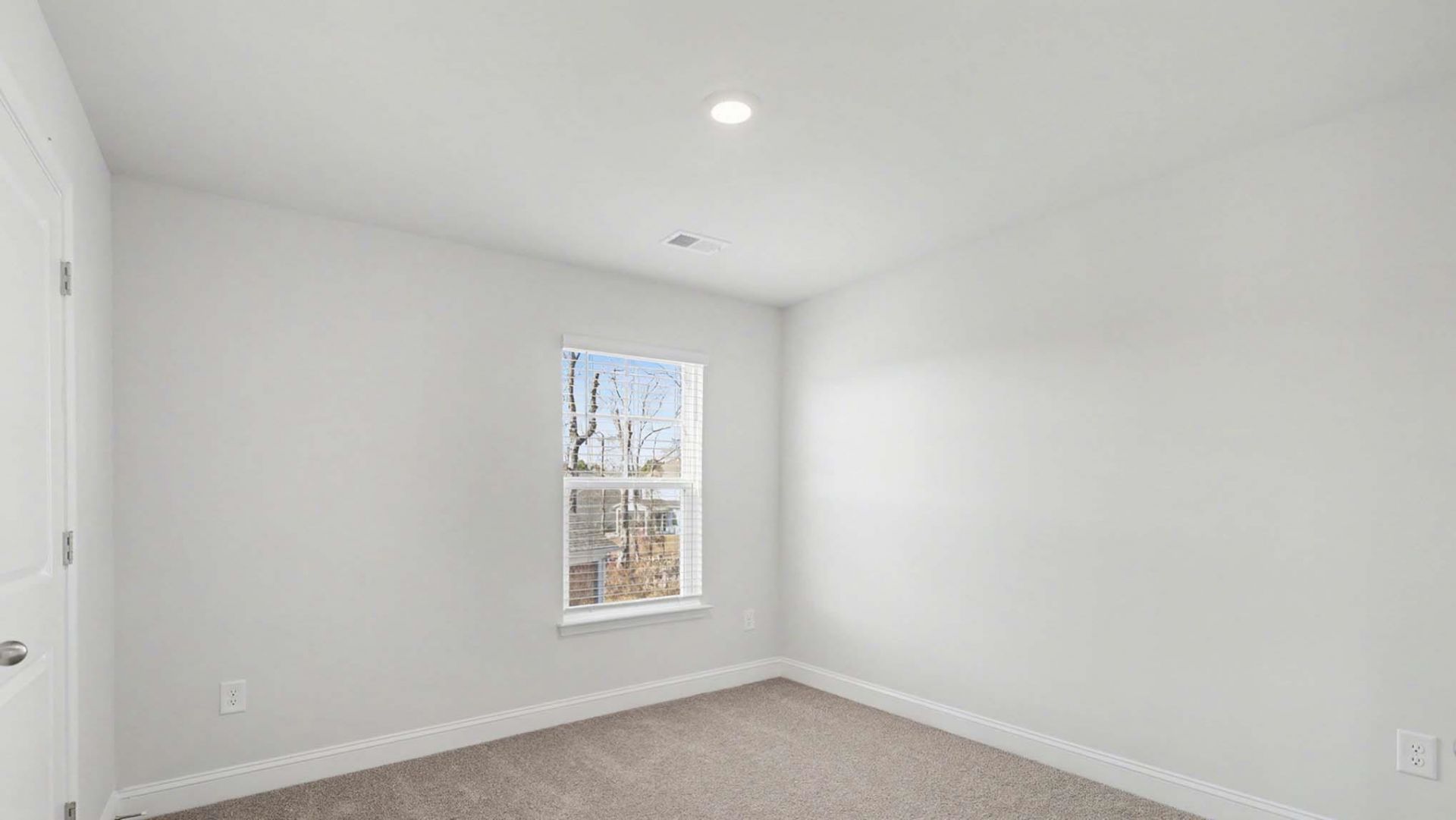 217 Blueberry Fields Ct. Photo 23