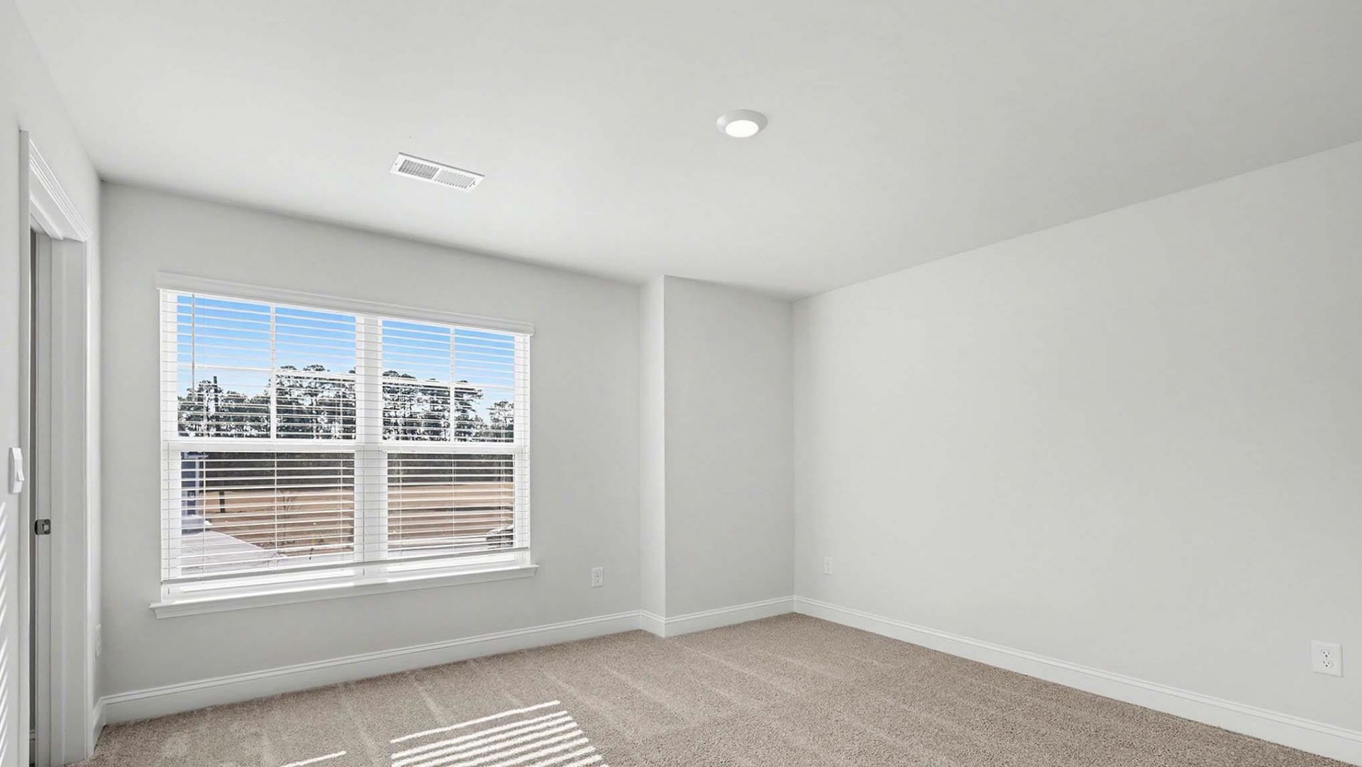 217 Blueberry Fields Ct.  Photo 28