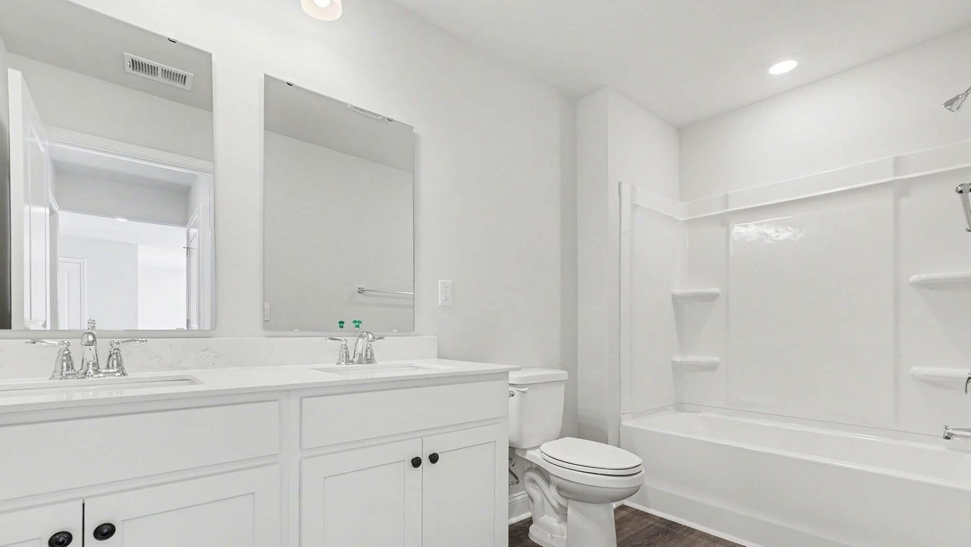 217 Blueberry Fields Ct. Photo 29