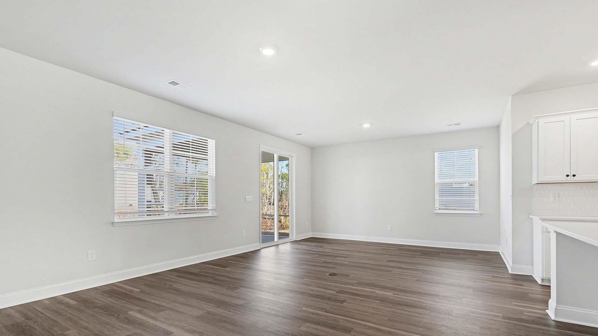 217 Blueberry Fields Ct. Photo 5