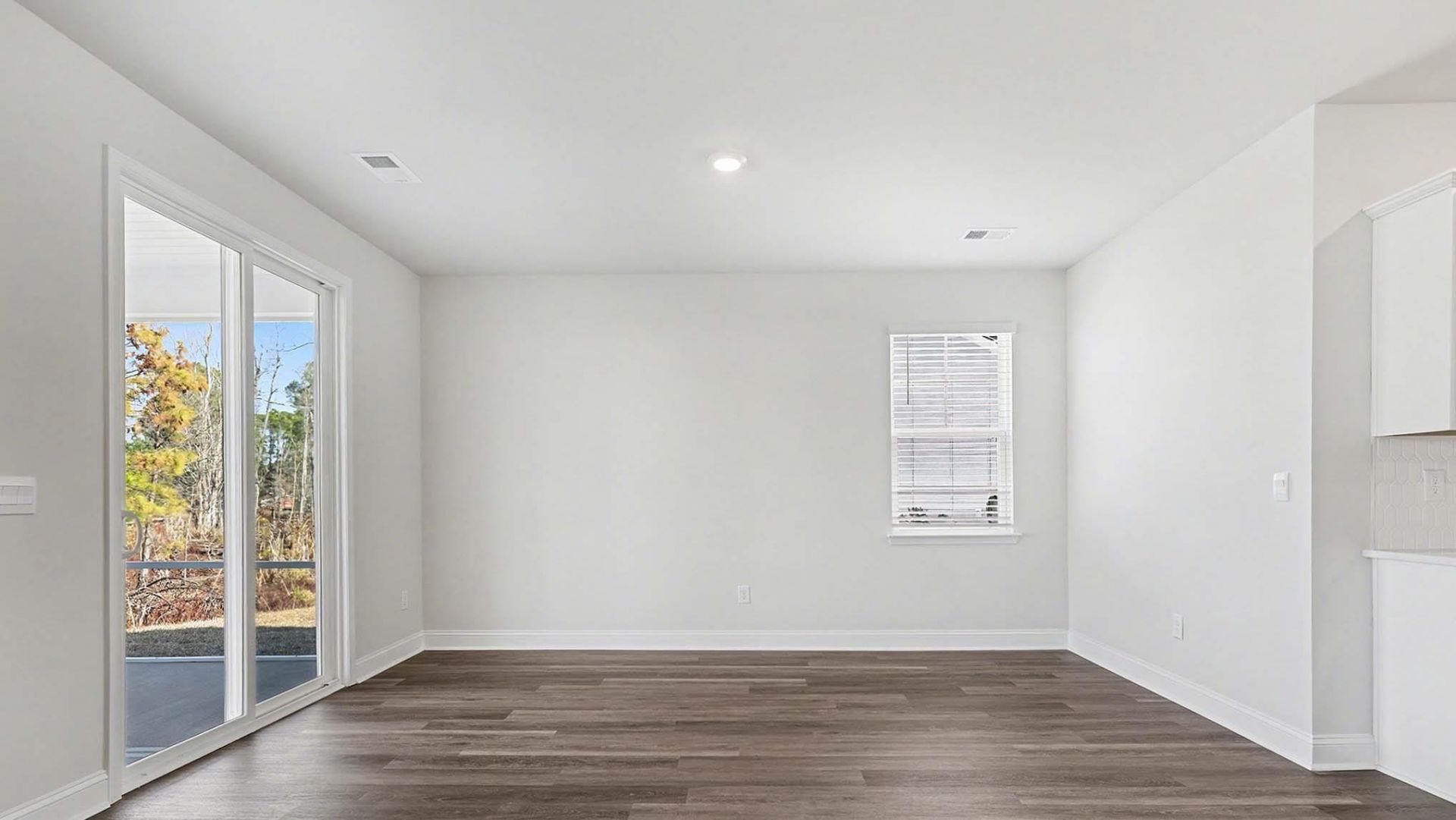 217 Blueberry Fields Ct.  Photo 6