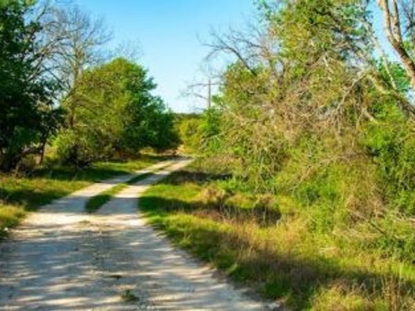 203 Rheingold School RD, Fredericksburg, TX 78624