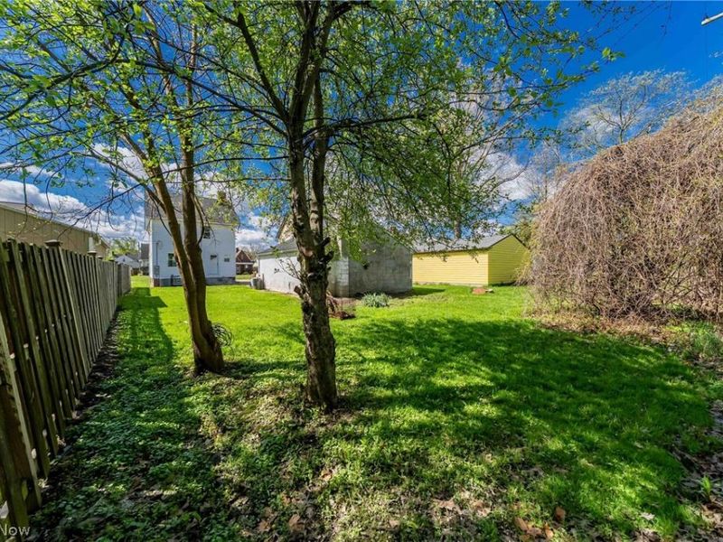 17408 Elsienna Avenue , Cleveland, OH 44135 Photo 17