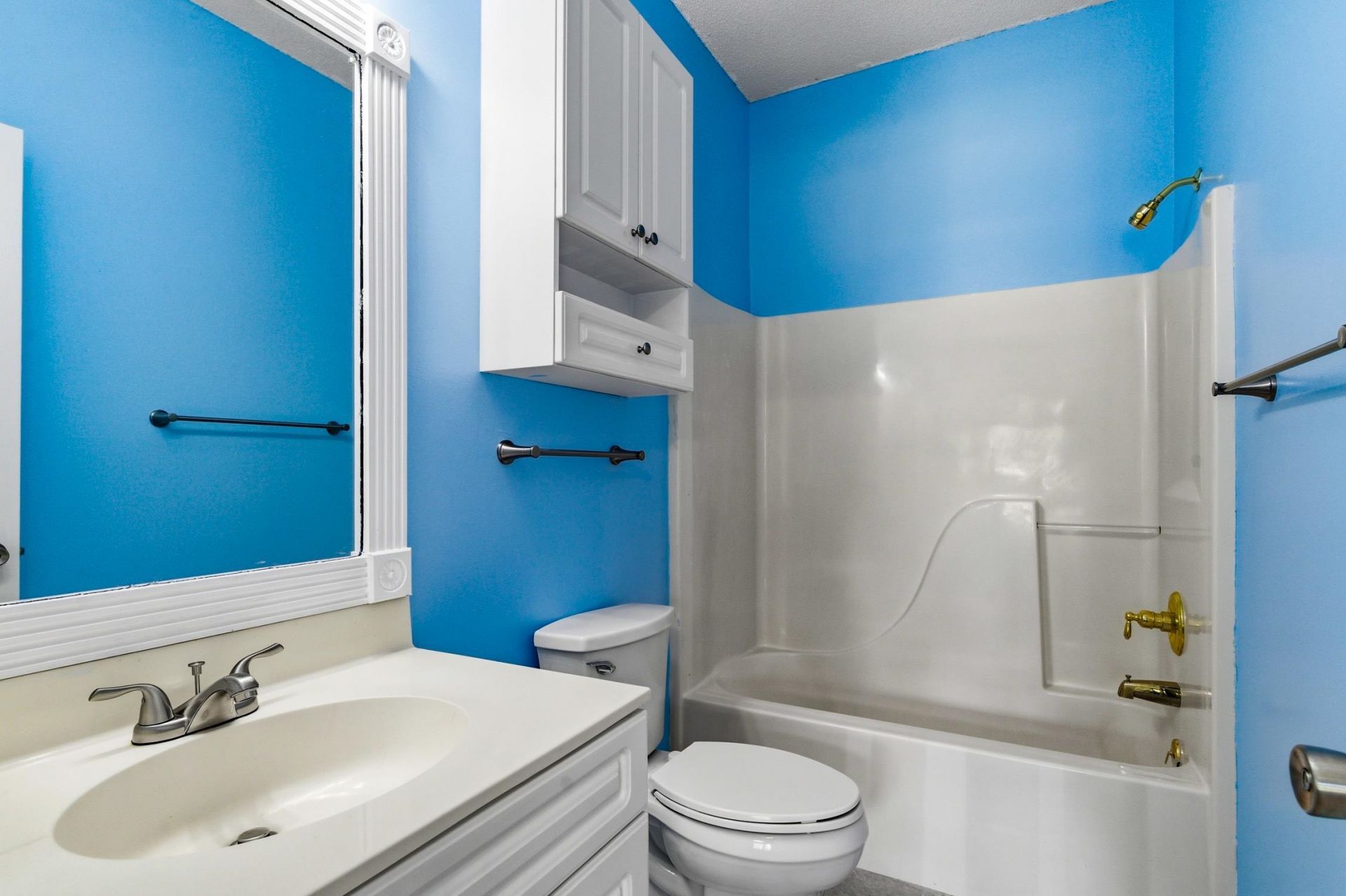 4657 Wild Iris Dr.  Photo 17