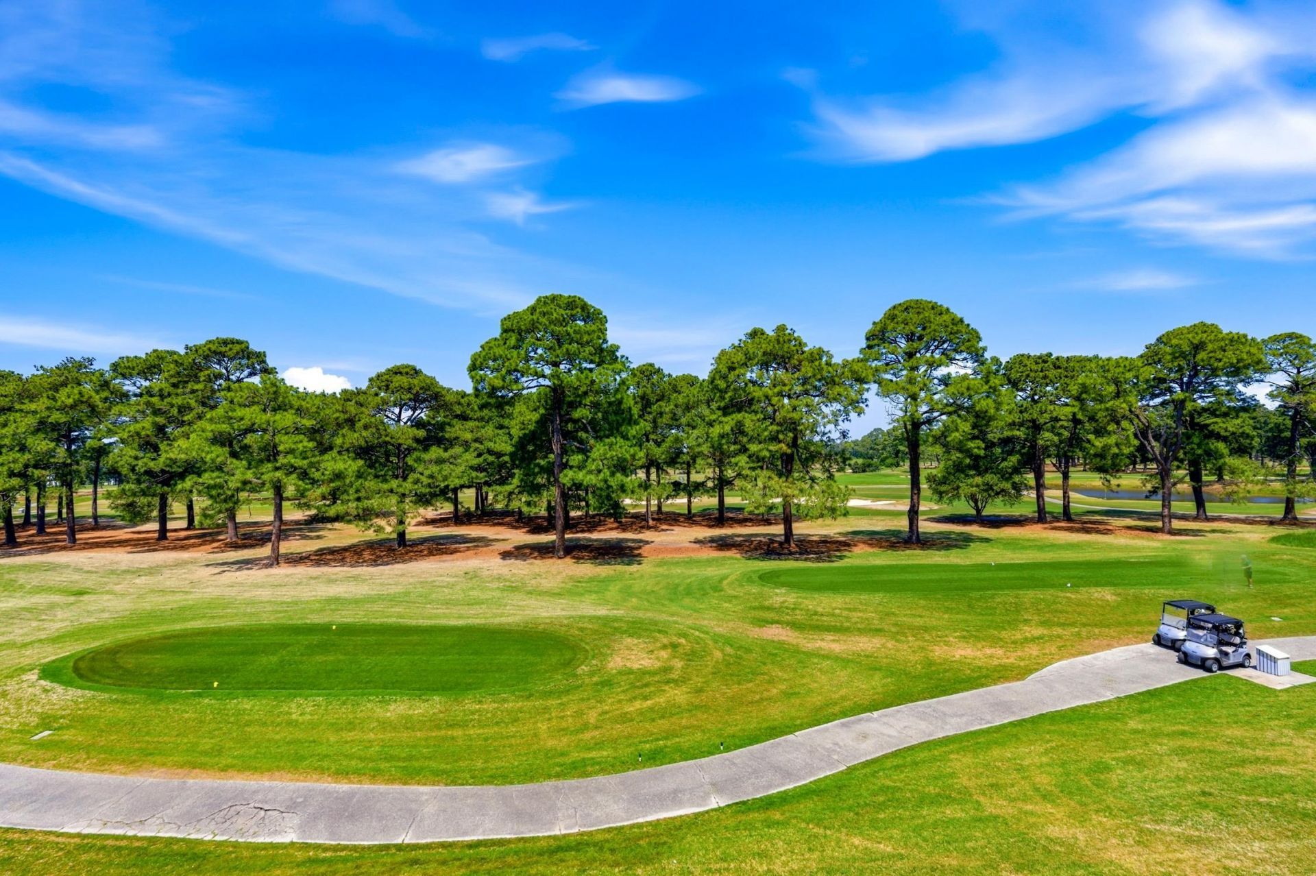 4657 Wild Iris Dr.  Photo 21