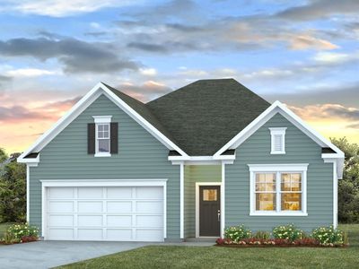 209 Blueberry Fields Ct. , Longs, SC 29568