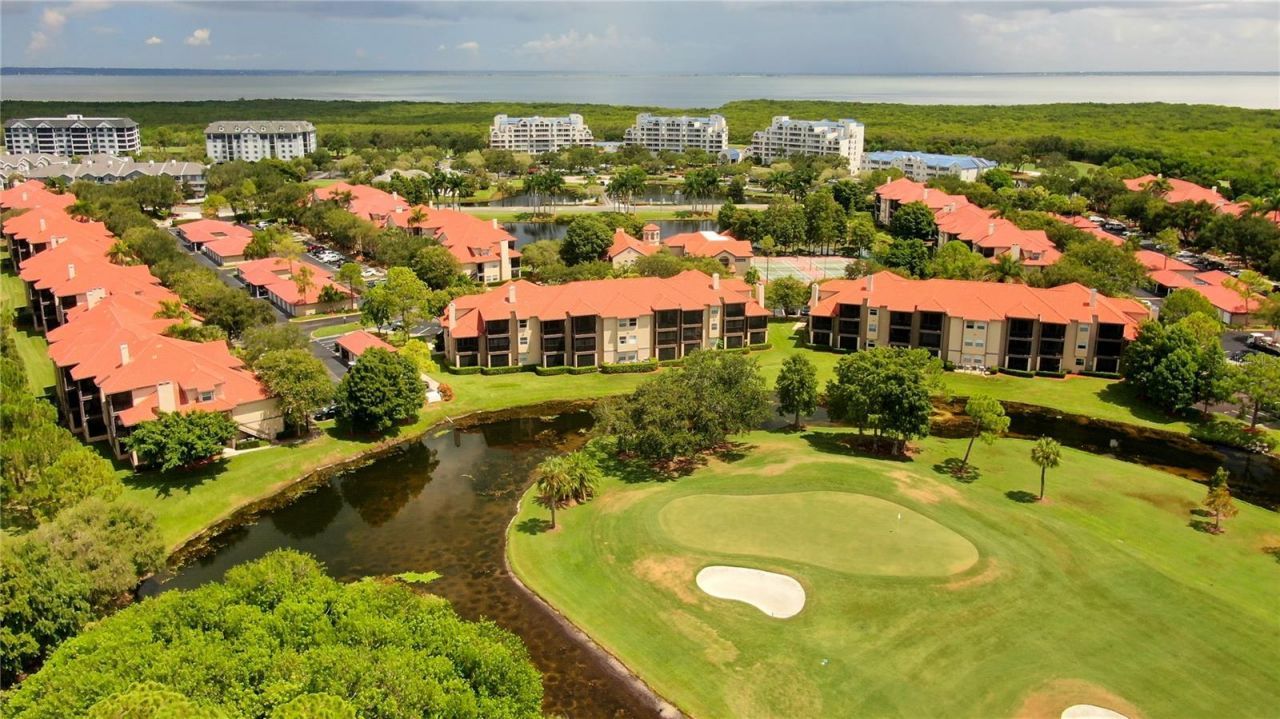 2400 Feather Sound Drive, Unit 1228, Clearwater, FL 33762 Photo