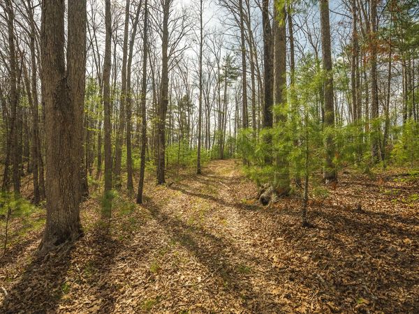 TBD Whip-Poor Will Hollow RD , Warm Springs, VA 24484