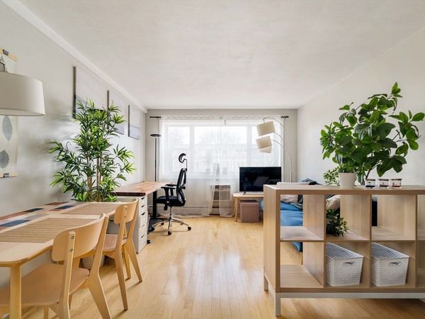 269 Harvard St, Unit 23, Cambridge, MA 02139