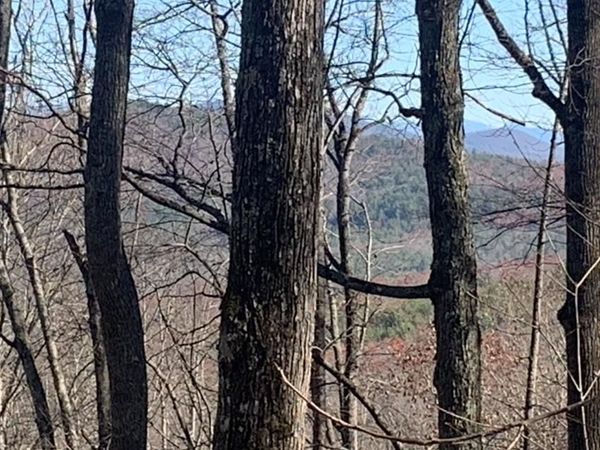 102 Badger Road, Blairsville, GA 30512