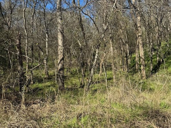 Lots 638. 639. 640 Kaukonahua LN , Bastrop, TX 78602