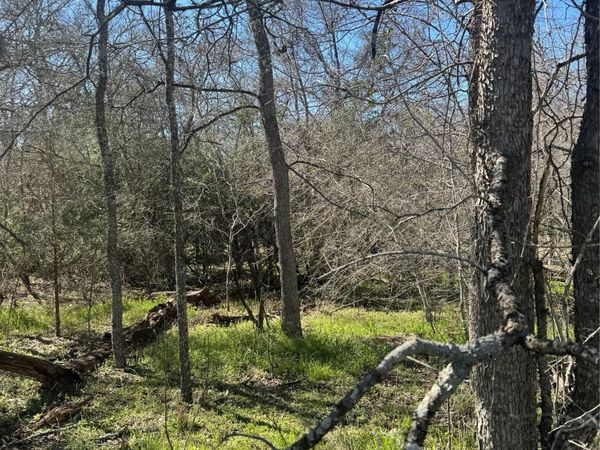 289 Iva LN , Bastrop, TX 78602