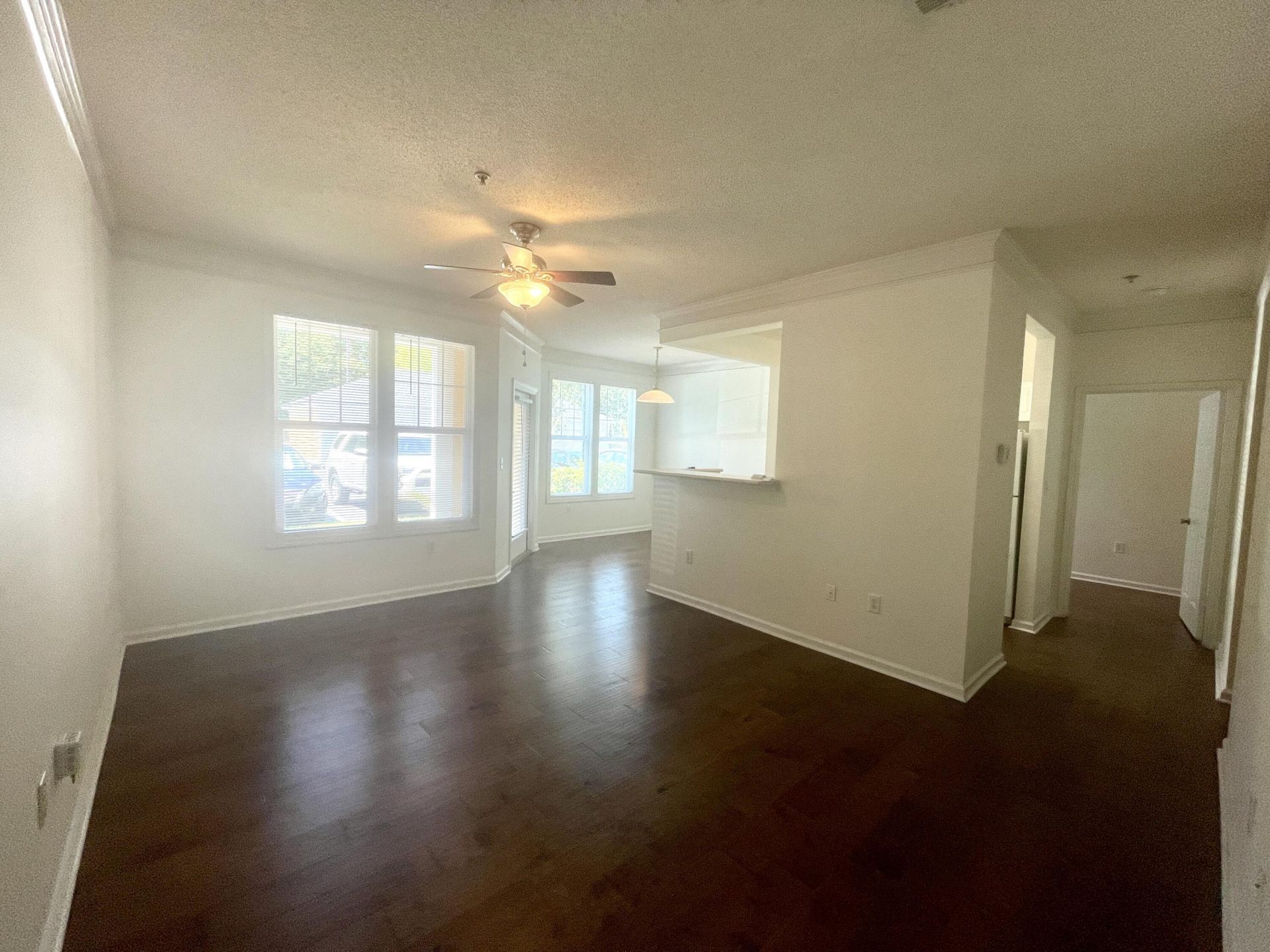 2411 Chatelain Way Photo 4