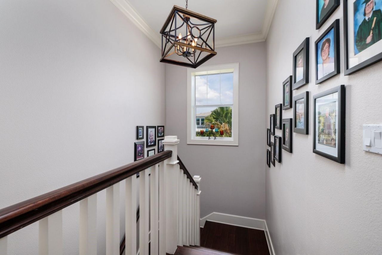 852 Cordova Boulevard Ne, Saint Petersburg, FL 33704 Photo