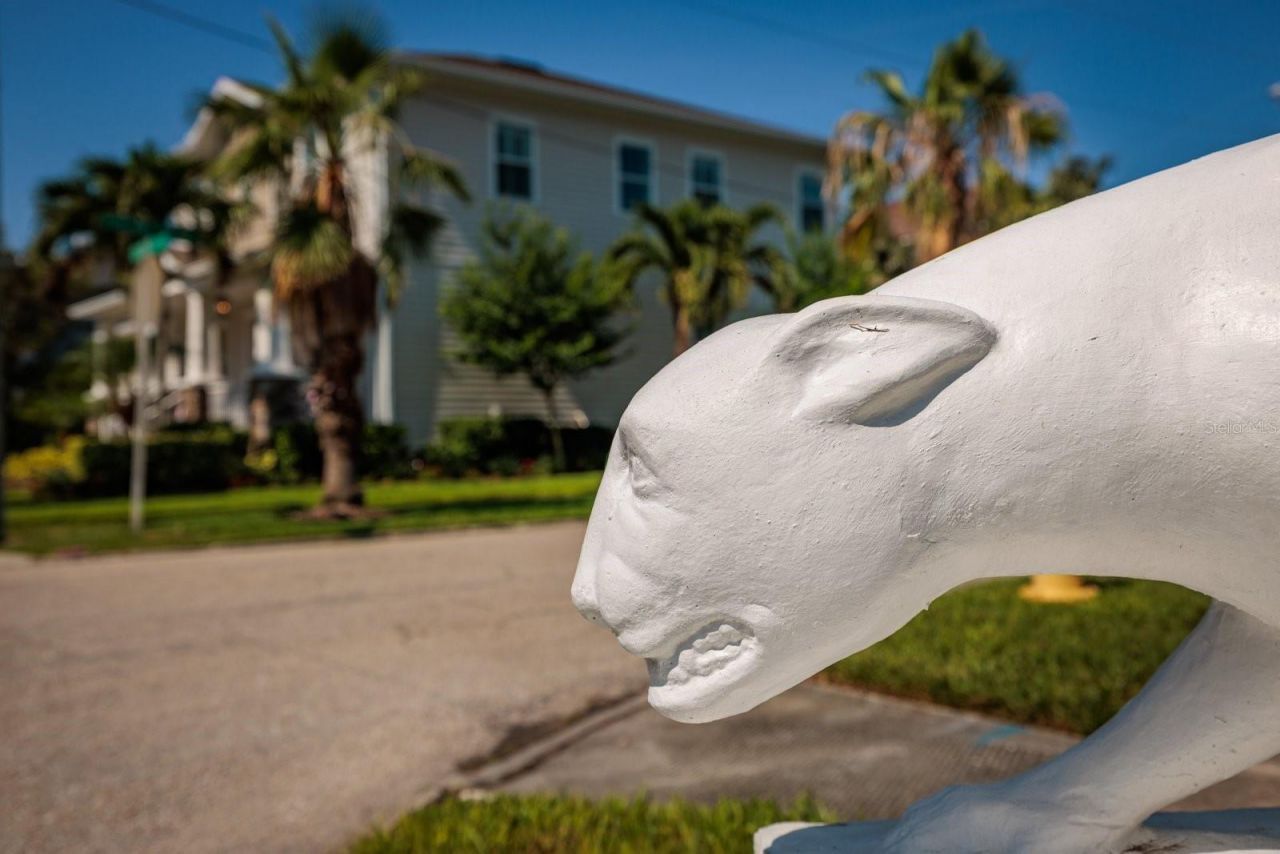 852 Cordova Boulevard Ne, Saint Petersburg, FL 33704 Photo