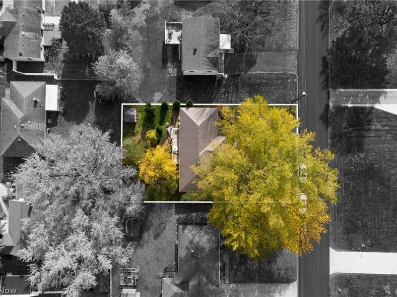 7443 Sugartree Drive, Boardman, OH 44512 Photo 35