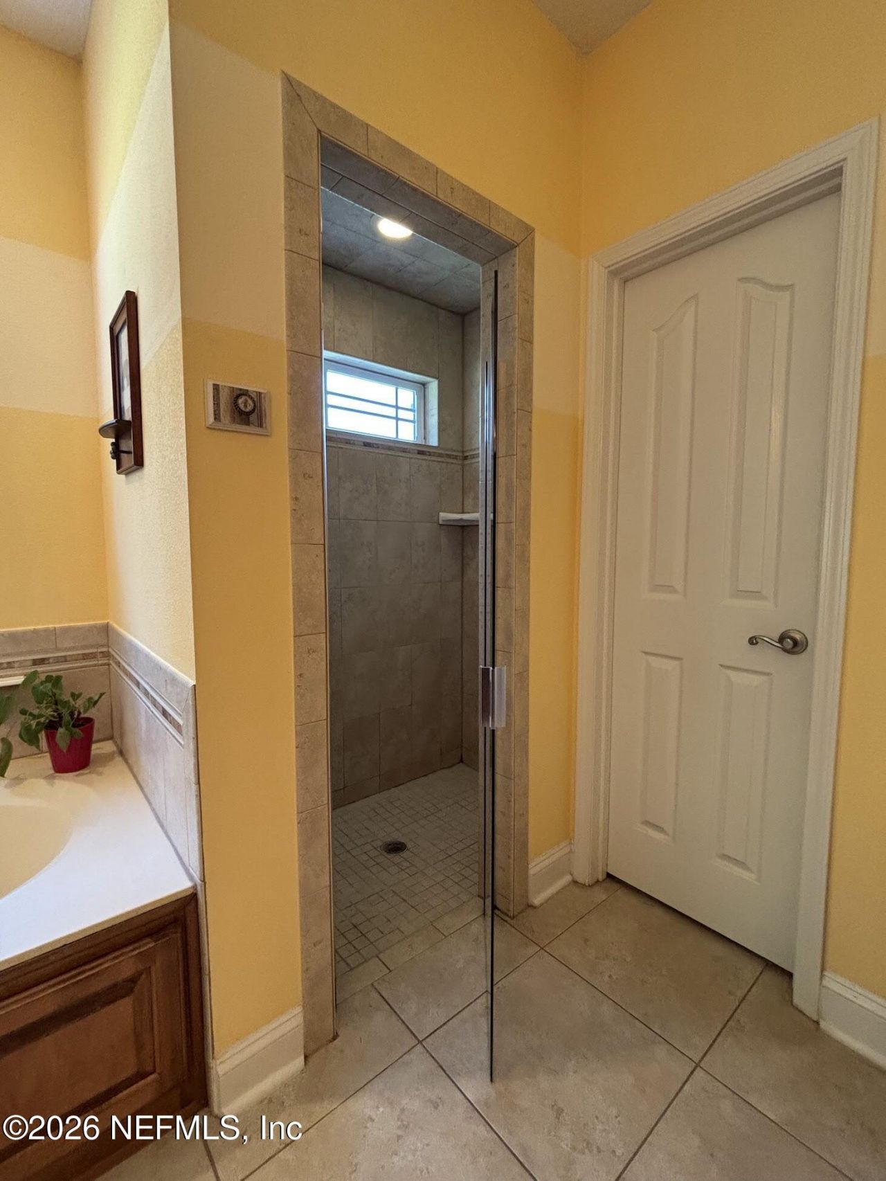 4555 Tarragon Avenue, Middleburg, FL 32068 Photo