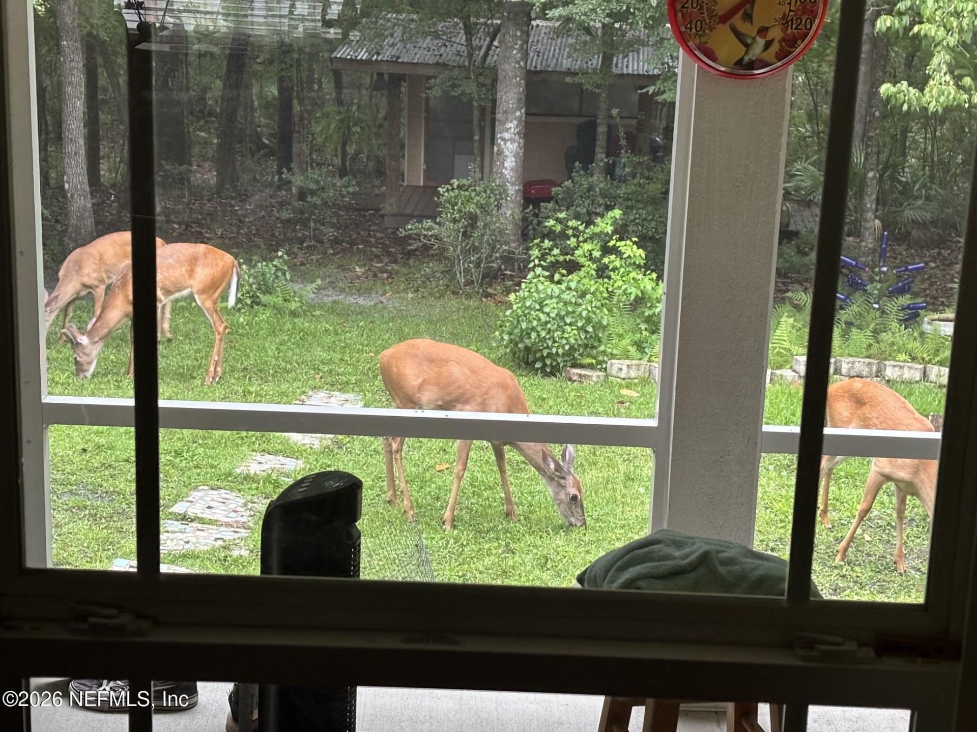 4555 Tarragon Avenue, Middleburg, FL 32068 Photo