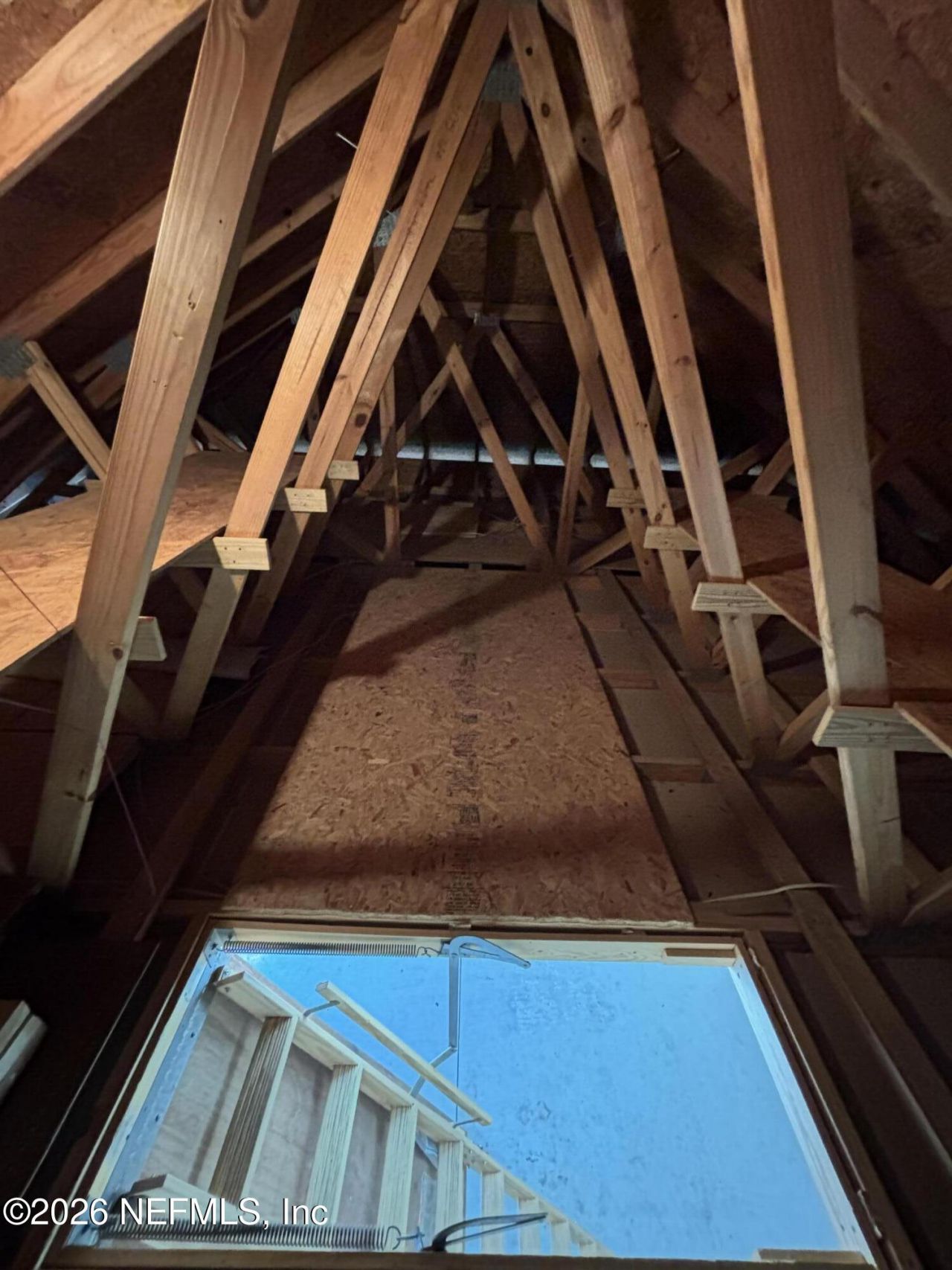 4555 Tarragon Avenue, Middleburg, FL 32068 Photo