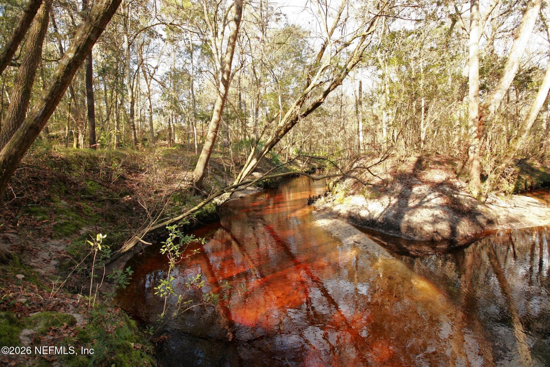 4555 Tarragon Avenue, Middleburg, FL 32068 Photo