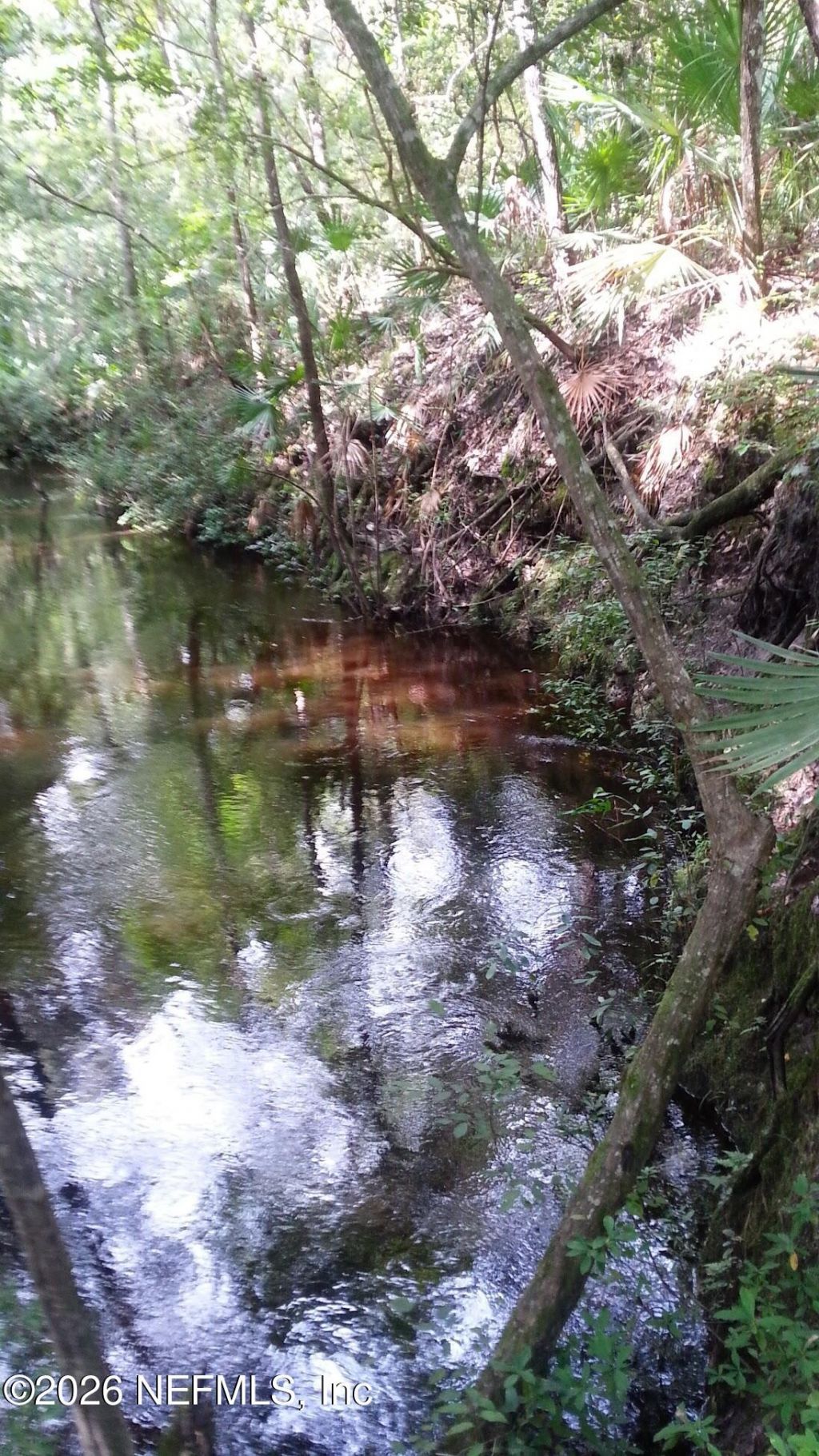 4555 Tarragon Avenue, Middleburg, FL 32068 Photo