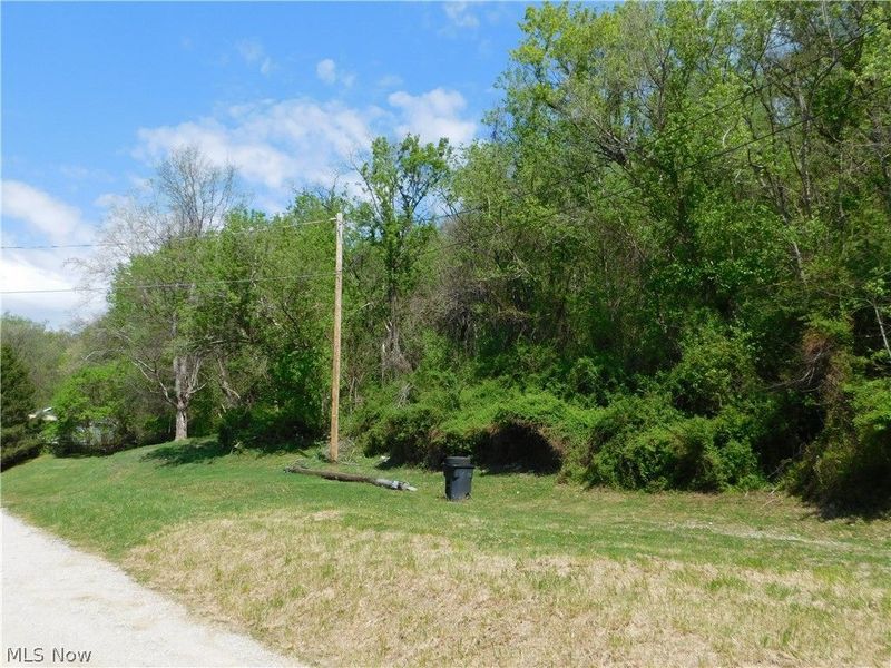 68250 Wrixon Road, Bridgeport, OH 43912 Photo 19