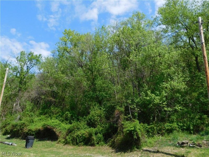 68250 Wrixon Road, Bridgeport, OH 43912 Photo 20