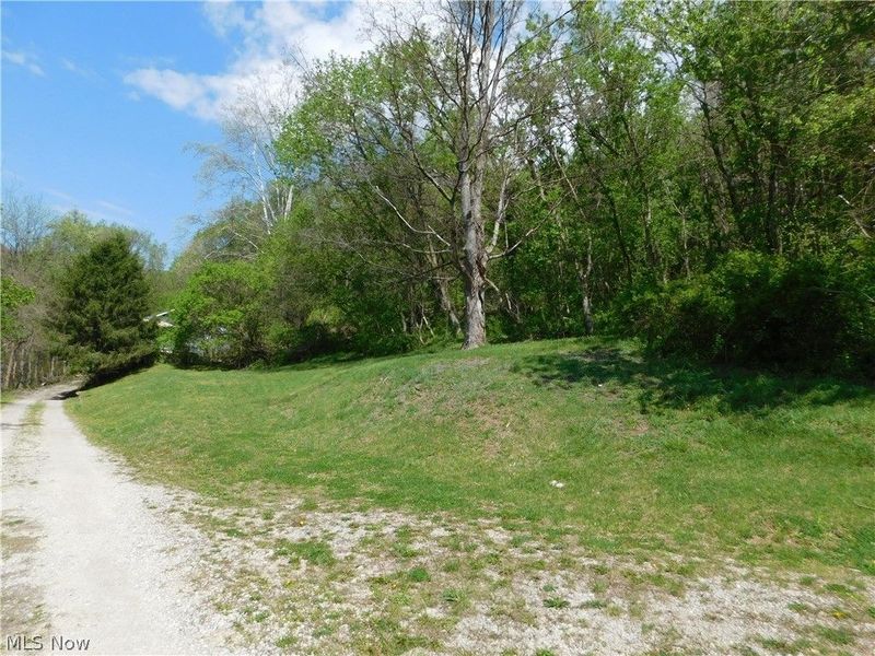 68250 Wrixon Road, Bridgeport, OH 43912 Photo 23