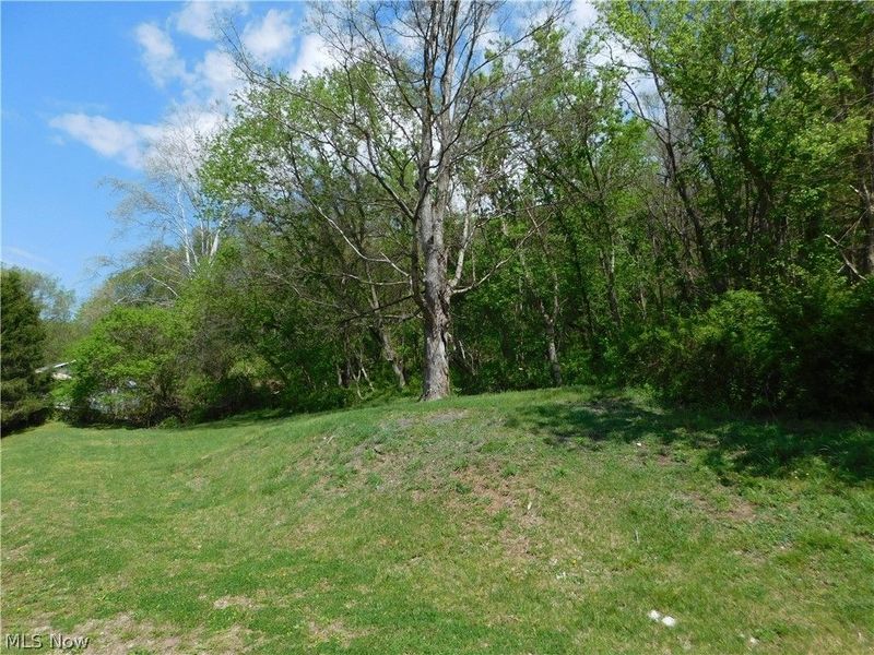 68250 Wrixon Road, Bridgeport, OH 43912 Photo 24