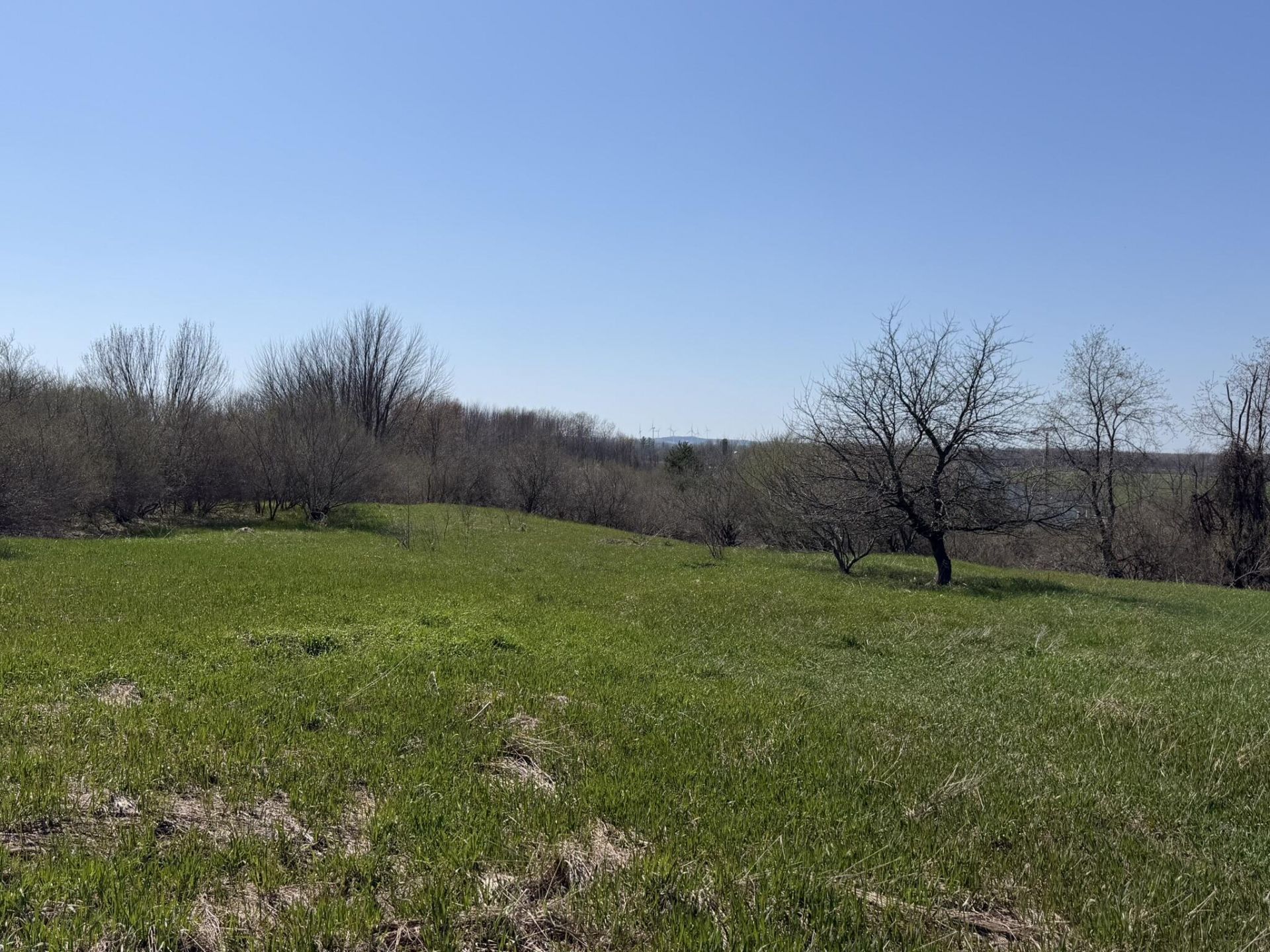 4422 S Ordway Road, Custer, MI 49405 Main Photo