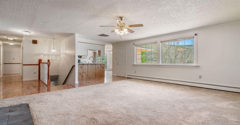 20500 Cooke Drive, Reno, NV 89521 Photo