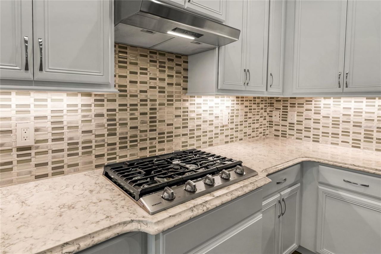 8492 Hartford Way , Mount Dora, FL 32757 Photo